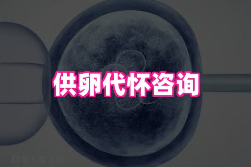 东莞助孕网站 4